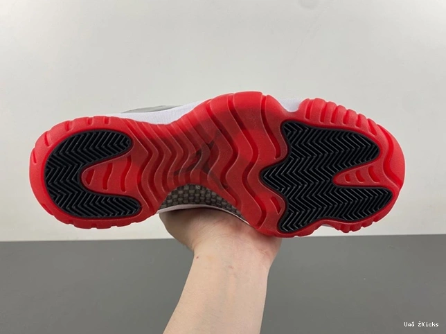 CT8012-106 687 Jordan Trendy Air 11 0717